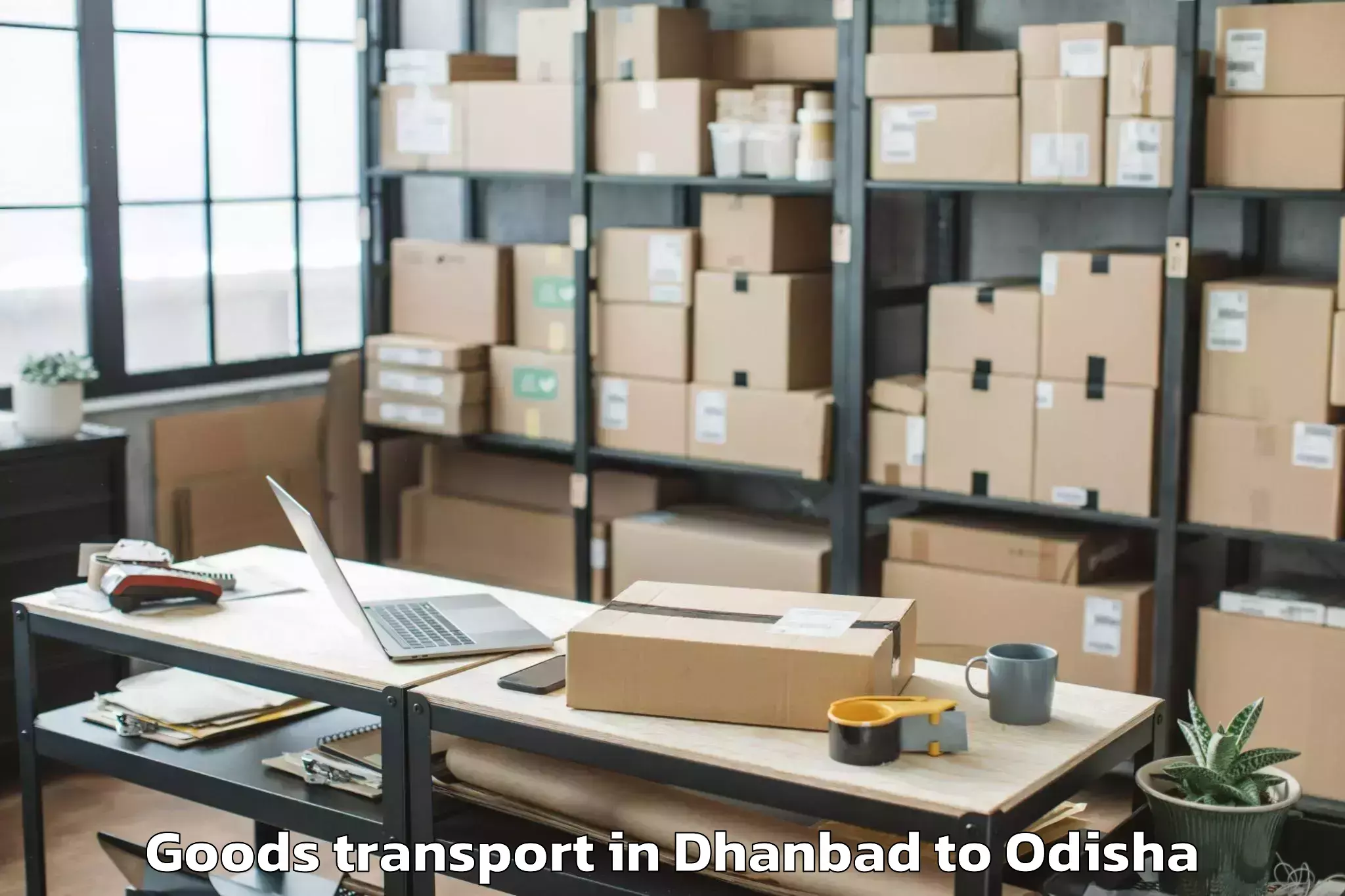 Quality Dhanbad to Sambalpur University Burla Goods Transport